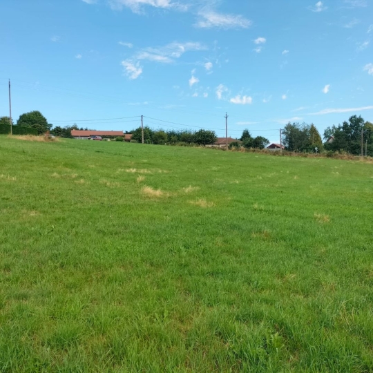  AGENCE TERRES D'IMMO : Terrain | SAINT-FLOUR (15100) | 0 m2 | 236 500 € 