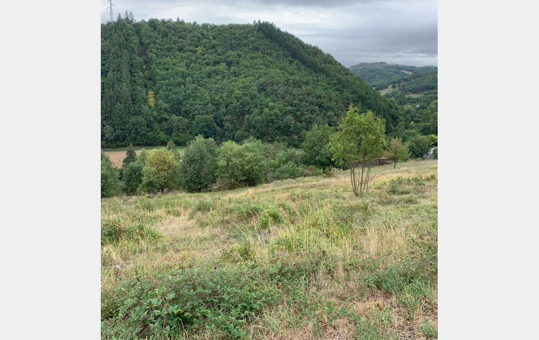 AGENCE TERRES D'IMMO : Terrain | BLESLE (43450) | 0 m2 | 26 000 € 