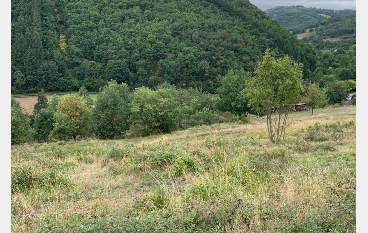  AGENCE TERRES D'IMMO Terrain | BLESLE (43450) | 0 m2 | 26 000 € 