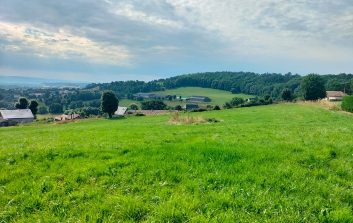 Terrain   SAINT-FLOUR   236 500 € 